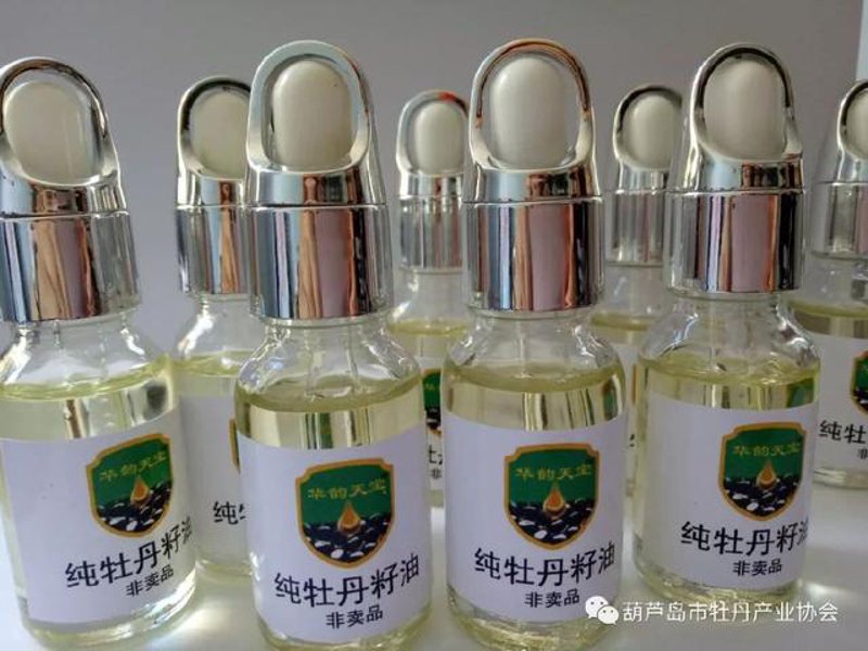 河北油牡丹