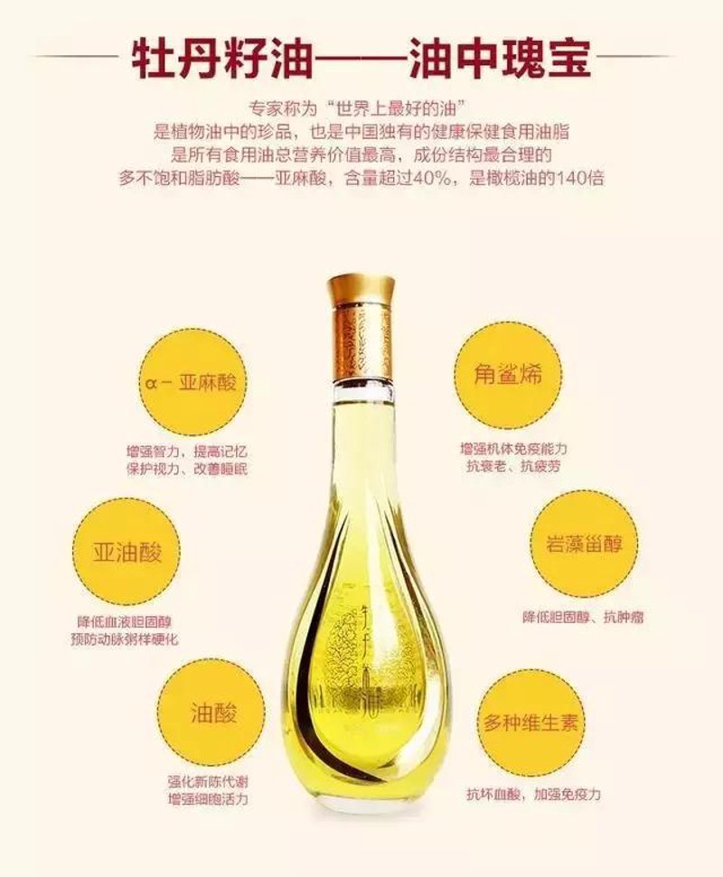 探索花卉行业新动态:聚焦牡丹苗批发